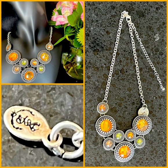 Jewelry - Premier Designs necklace